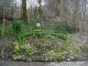 Thumbs/tn_DSC05587.jpg