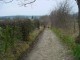 Thumbs/tn_DSC05591.jpg