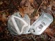 Thumbs/tn_DSC01586.jpg
