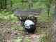 Thumbs/tn_DSC00983.jpg
