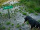 Thumbs/tn_DSC07526.jpg