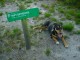 Thumbs/tn_DSC07527.jpg