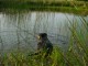 Thumbs/tn_DSC07529.jpg