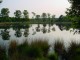 Thumbs/tn_DSC07532.jpg