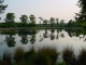 Thumbs/tn_DSC07533.jpg