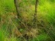 Thumbs/tn_DSC07535.jpg