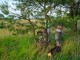 Thumbs/tn_DSC07537.jpg