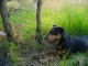 Thumbs/tn_DSC07550.jpg