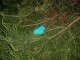 Thumbs/tn_DSC01009.jpg