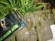 Thumbs/tn_DSC00870.jpg