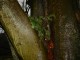 Thumbs/tn_DSC04816.jpg