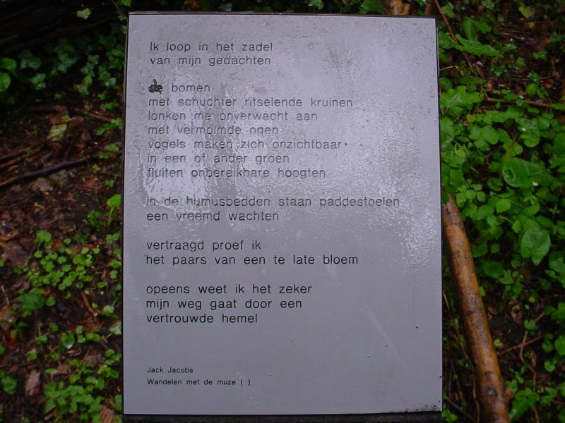 ../Images/Poem8.jpg