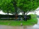 Thumbs/tn_DSC06604.jpg