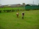 Thumbs/tn_DSC06605.jpg