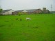 Thumbs/tn_DSC06606.jpg