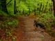 Thumbs/tn_DSC06609.jpg