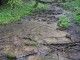 Thumbs/tn_DSC06611.jpg