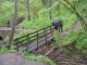 Thumbs/tn_DSC06612.jpg