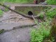 Thumbs/tn_DSC06613.jpg