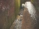 Thumbs/tn_DSC06616.jpg