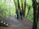 Thumbs/tn_DSC06618.jpg