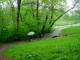 Thumbs/tn_DSC06626.jpg