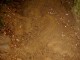 Thumbs/tn_DSC06632.jpg