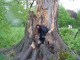 Thumbs/tn_DSC06645.jpg