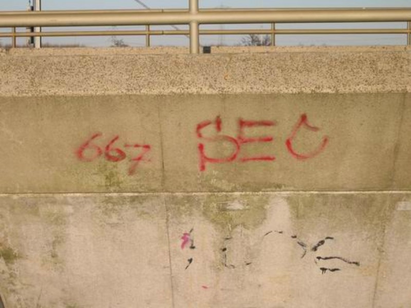 ../Images/Fons07.jpg