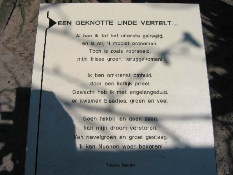 ../Images/Fons05.jpg
