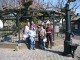 Thumbs/tn_Fons06.jpg