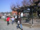 Thumbs/tn_Untitled-16.jpg
