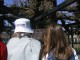 Thumbs/tn_Untitled-18.jpg