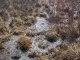 Thumbs/tn_DSC00237.jpg