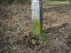 Thumbs/tn_DSC00247.jpg