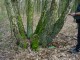 Thumbs/tn_DSC00323.jpg
