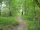 Thumbs/tn_DSC03705.jpg