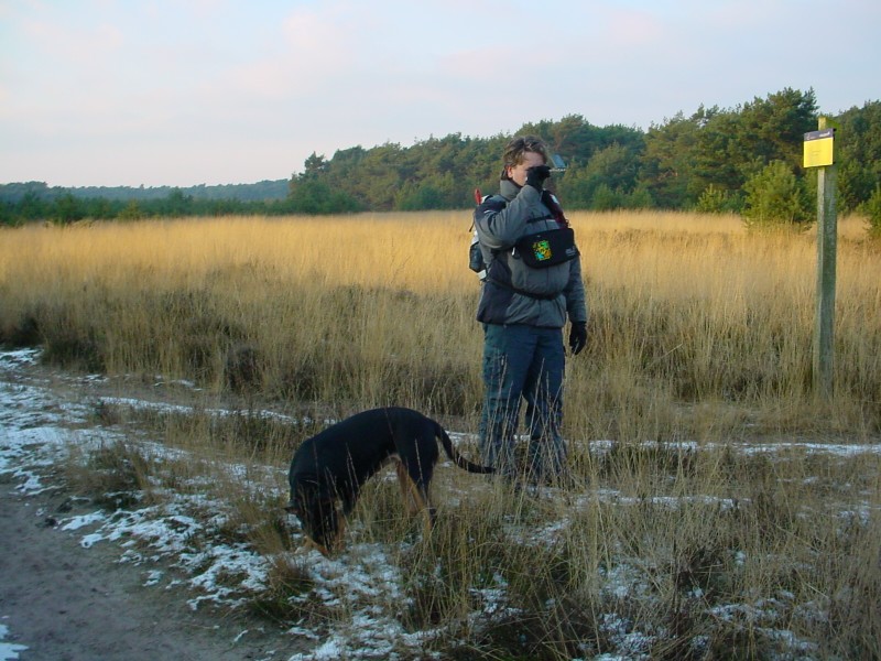 ../Images/DSC04990.jpg