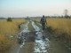 Thumbs/tn_DSC04991.jpg