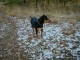 Thumbs/tn_DSC04993.jpg