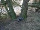 Thumbs/tn_DSC04997.jpg
