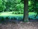 Thumbs/tn_DSC01298.jpg