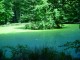 Thumbs/tn_DSC01299.jpg