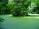 Thumbs/tn_DSC01300.jpg