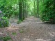 Thumbs/tn_DSC01301.jpg