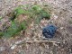 Thumbs/tn_DSC01304.jpg