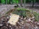 Thumbs/tn_DSC01308.jpg
