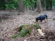 Thumbs/tn_DSC01309.jpg