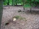 Thumbs/tn_DSC01310.jpg