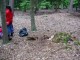Thumbs/tn_DSC01311.jpg